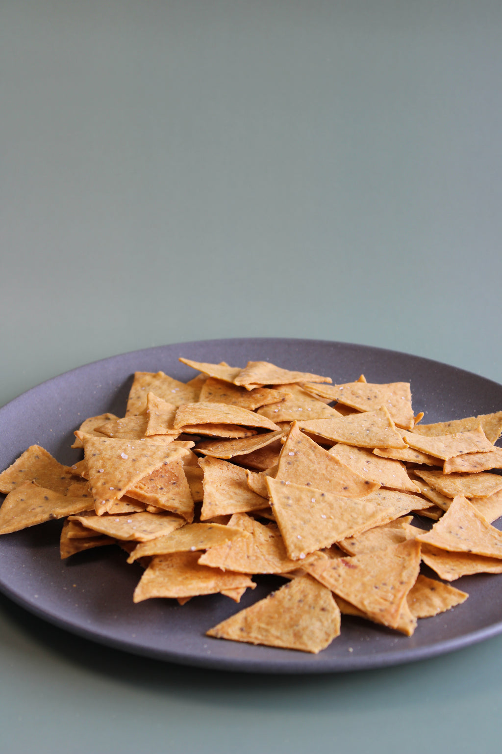 Salty Nachos